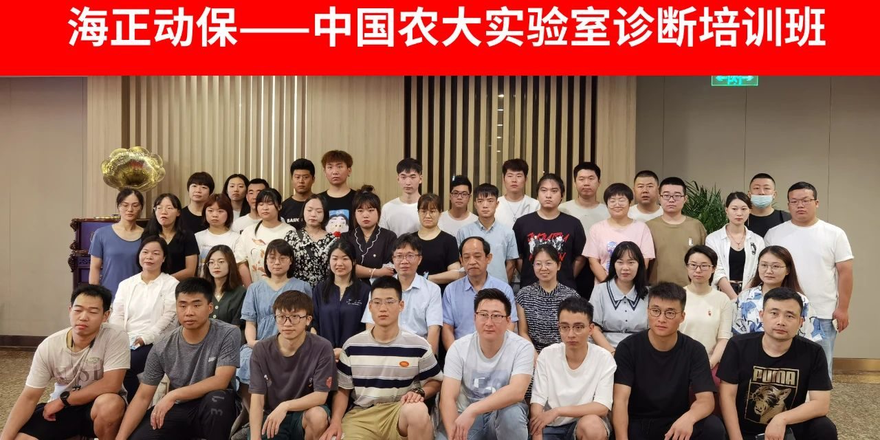 腾挪破局 敢动声色 | 2023万事博动保年中聚会圆满竣事_万事博动保